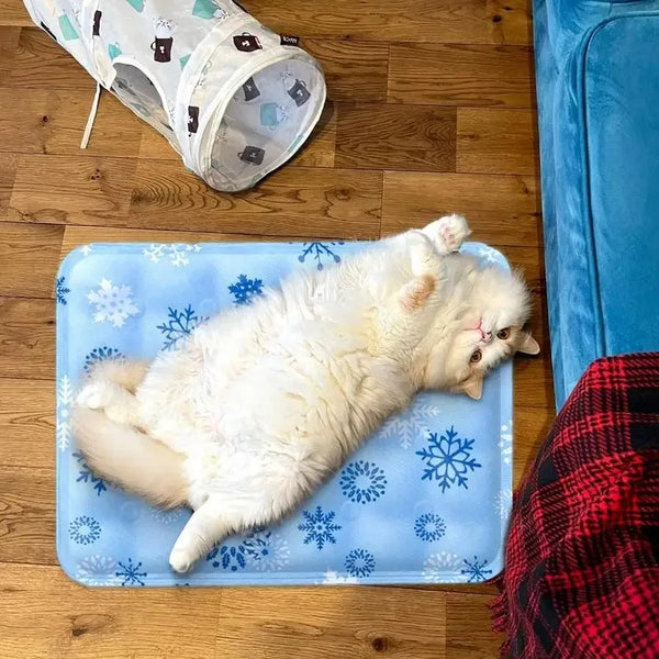 Pet Beds Cooling Cushion Covers pets