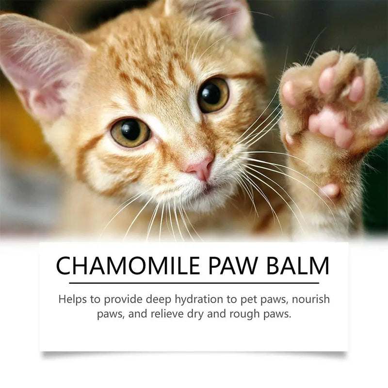 Natural Paw Balm Wax For Dry Paws & Nose Moisturizer For Cracked Paw