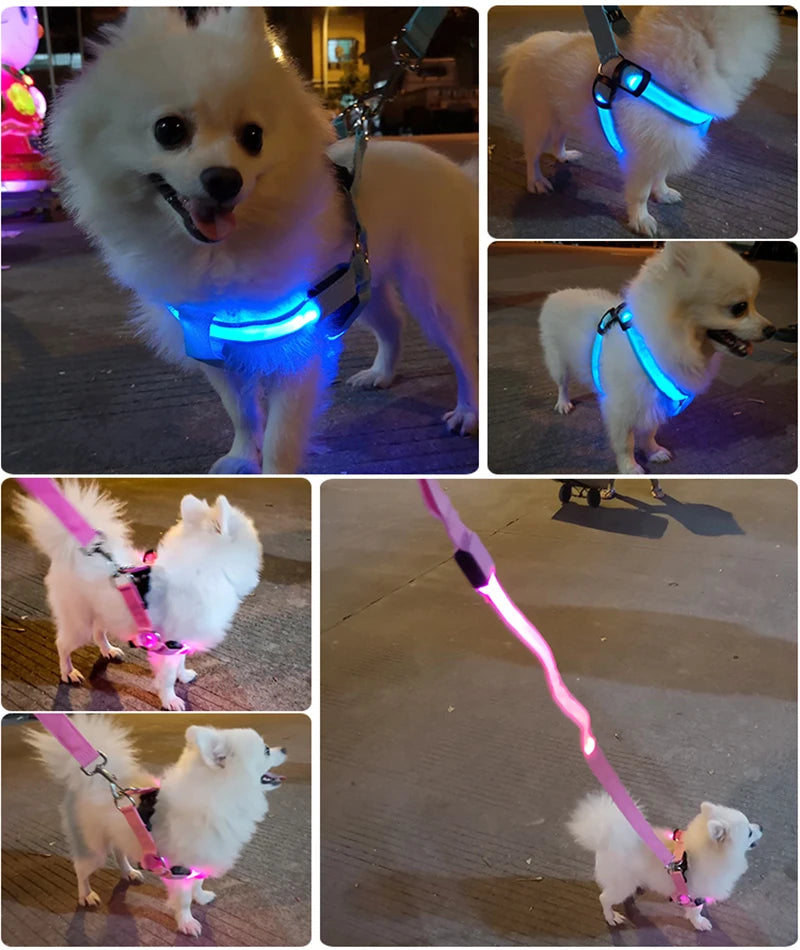 Adjustable LED Dog Harness