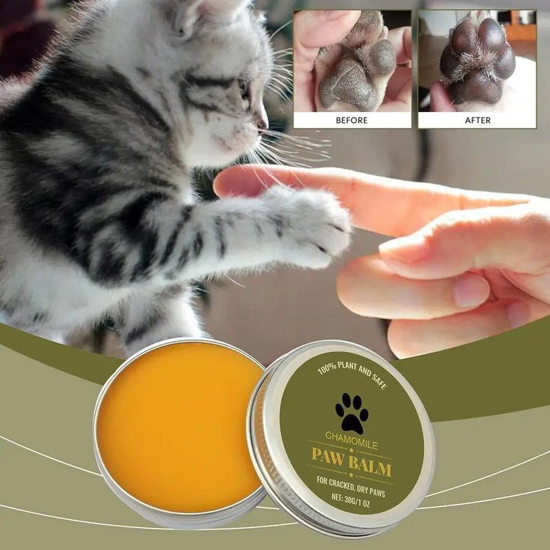Natural Paw Balm Wax For Dry Paws & Nose Moisturizer For Cracked Paw