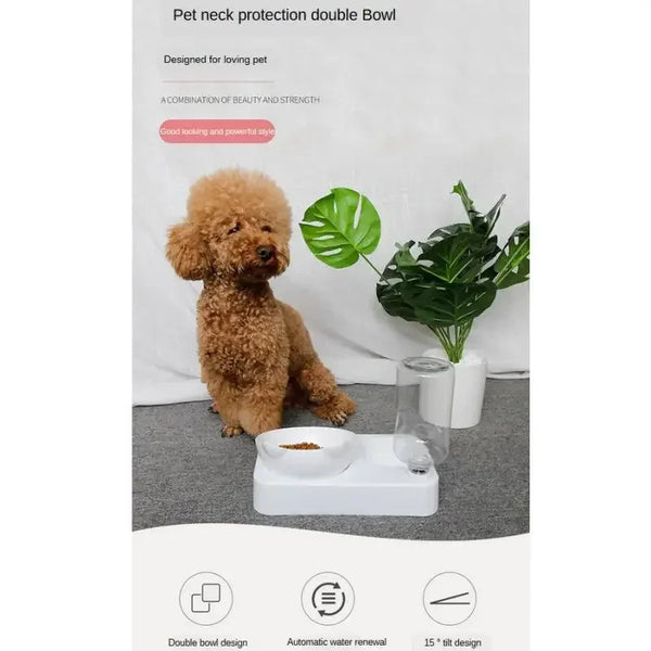 Automatic Feede with Double Bowl (Food and Water Dispenser)