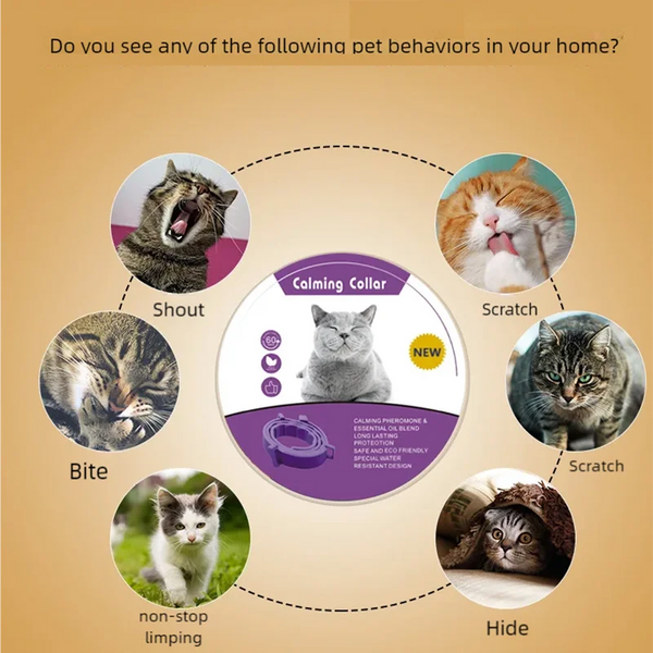 Pet calming collar with pheromone to relieve anxiety, adjustable and comfortable size