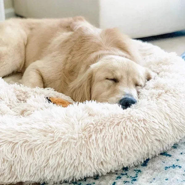 Plush Pet Bed for Dog, XXL Round Mat for Small and Medium Pets