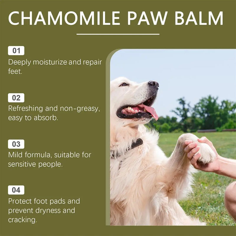 Natural Paw Balm Wax For Dry Paws & Nose Moisturizer For Cracked Paw