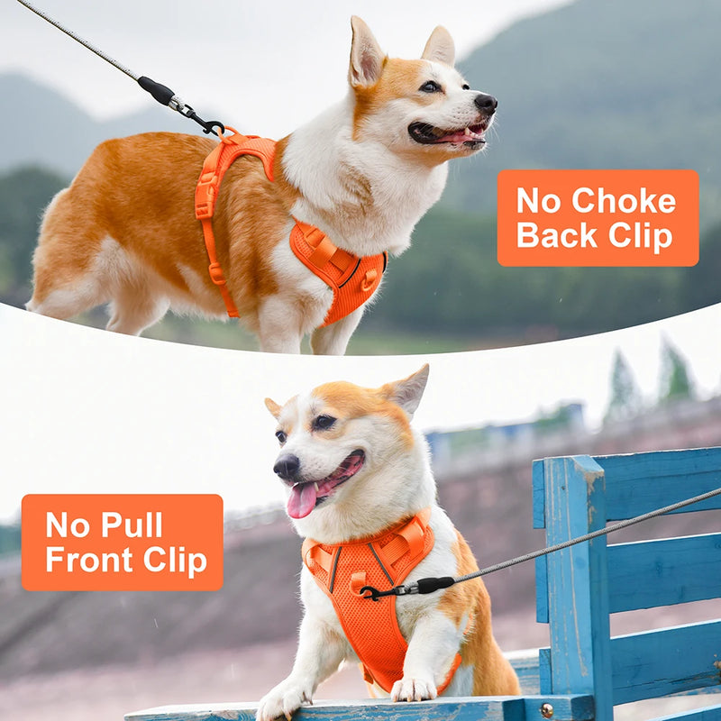 Adjustable Nylon Dog Harnesses With Control Handle