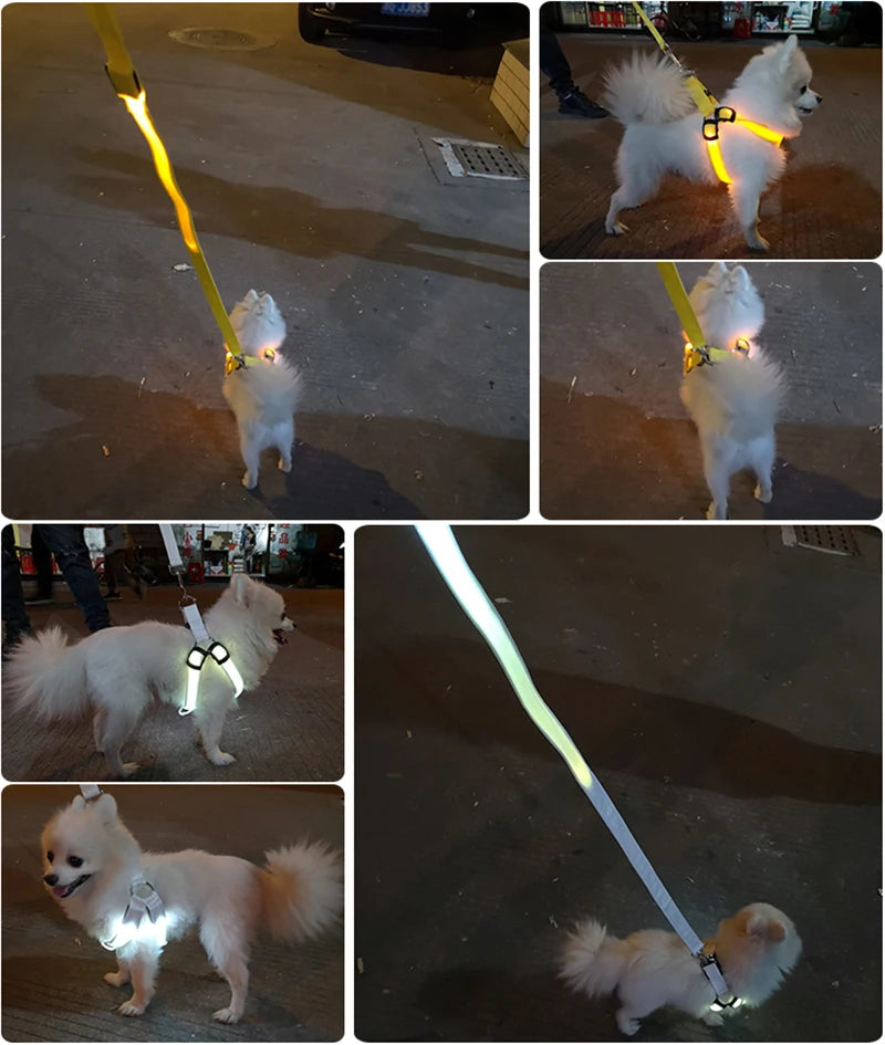 Adjustable LED Dog Harness