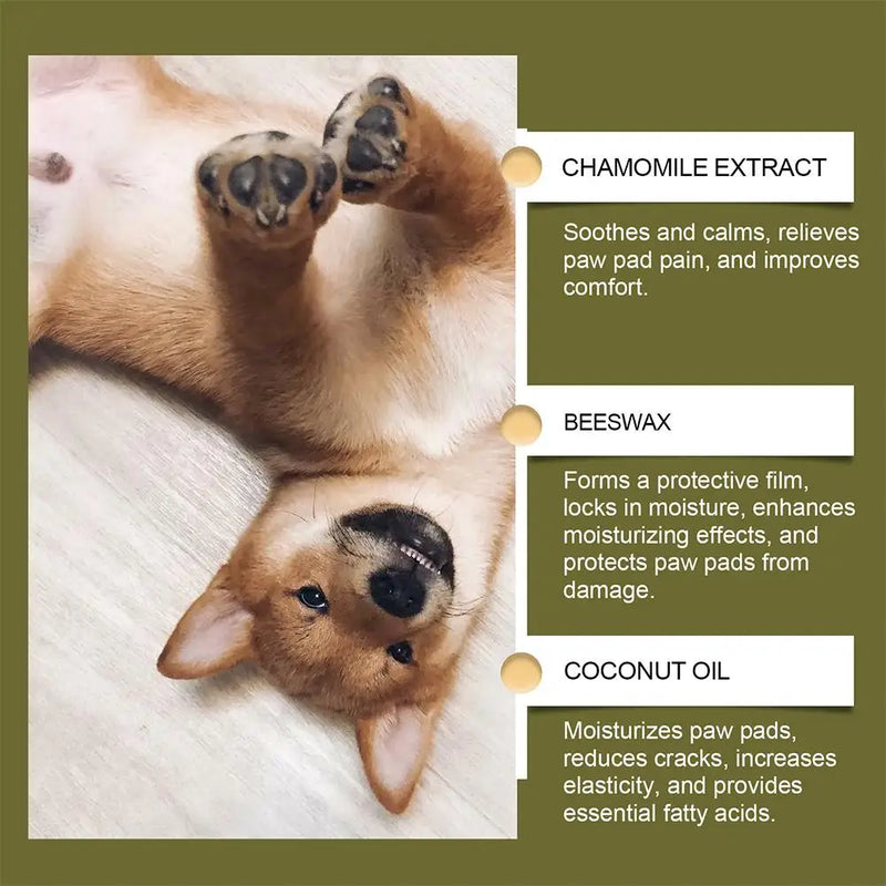 Natural Paw Balm Wax For Dry Paws & Nose Moisturizer For Cracked Paw