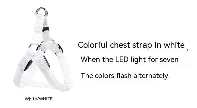 Adjustable LED Dog Harness