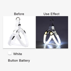 Adjustable LED Dog Harness
