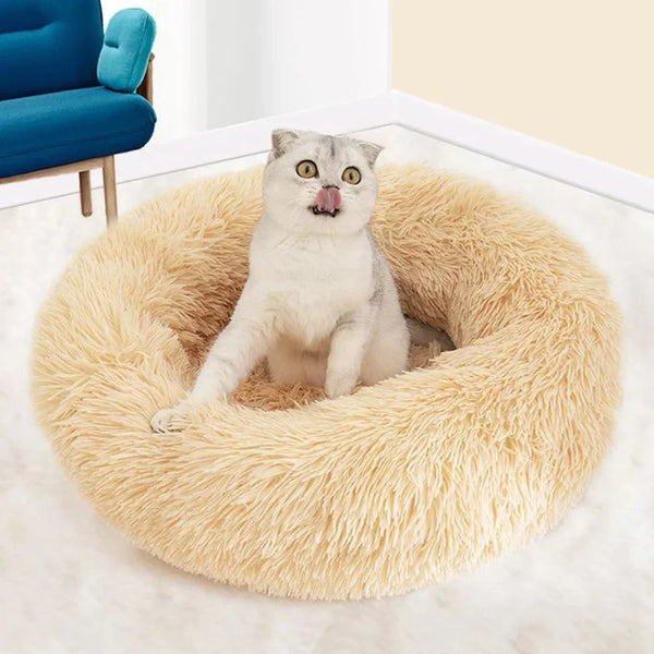 Plush Pet Bed for Dog, XXL Round Mat for Small and Medium Pets