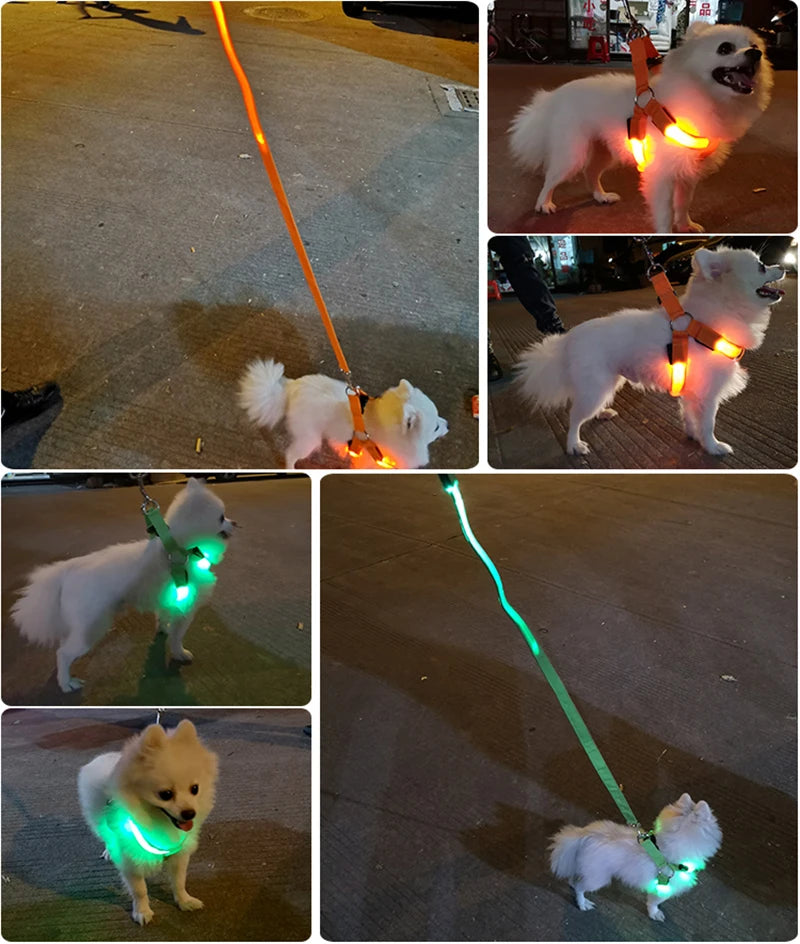Adjustable LED Dog Harness