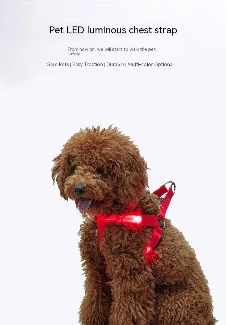 Adjustable LED Dog Harness